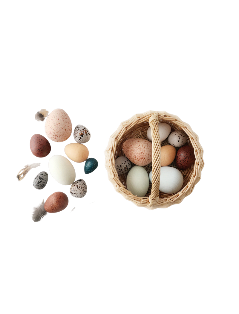 moon picnic - a dozen bird eggs